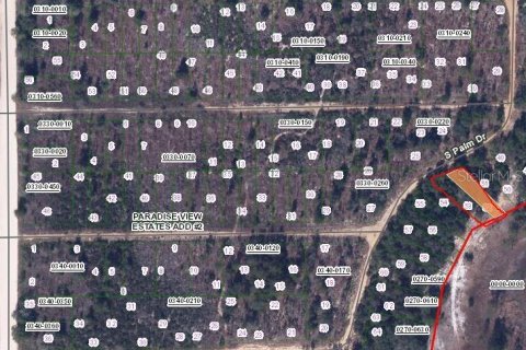 Land in Interlachen, Florida № 2160909 - photo 2