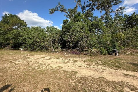 Land in Dade City, Florida № 1654949 - photo 3