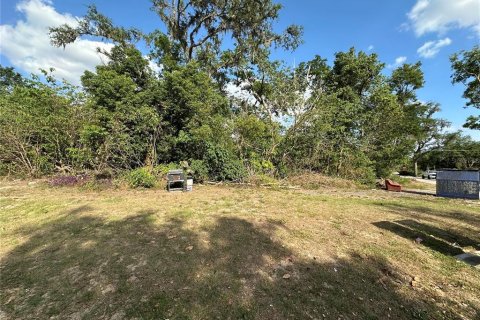Land in Dade City, Florida № 1654949 - photo 2