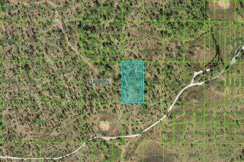 Terrain à Frostproof, Floride № 2160616