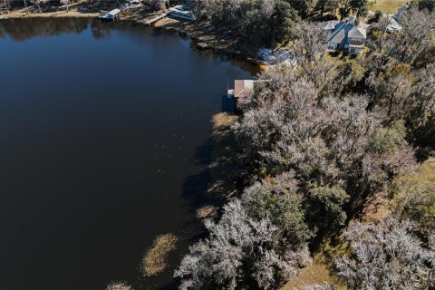 Land in Waldo, Florida № 2118242 - photo 6