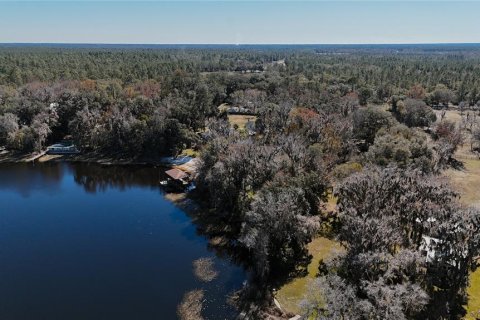 Land in Waldo, Florida № 2118242 - photo 5