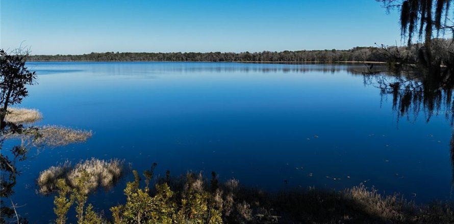Land in Waldo, Florida № 2118242