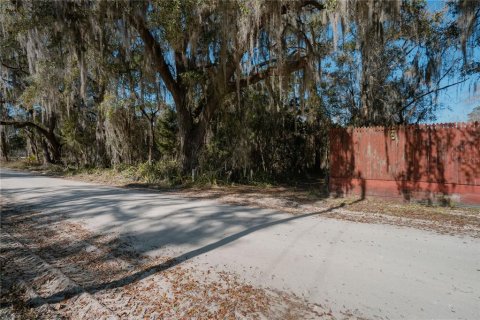 Land in Waldo, Florida № 2118242 - photo 19