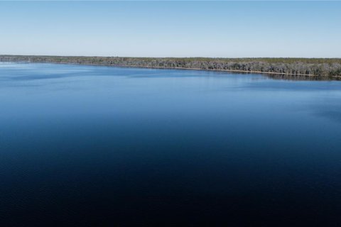 Land in Waldo, Florida № 2118242 - photo 14