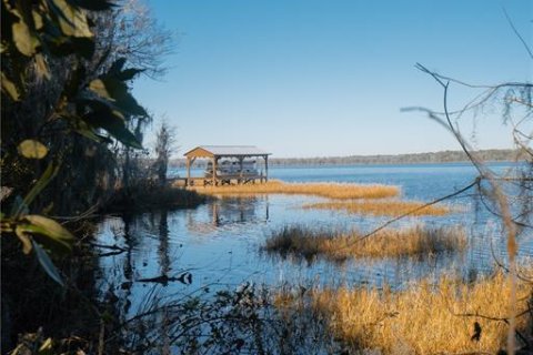 Land in Waldo, Florida № 2118242 - photo 30