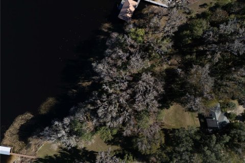 Land in Waldo, Florida № 2118242 - photo 17
