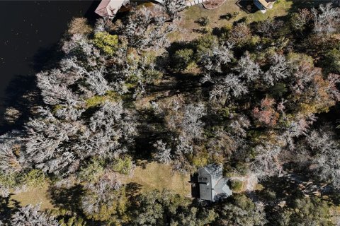 Land in Waldo, Florida № 2118242 - photo 9
