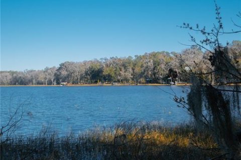 Land in Waldo, Florida № 2118242 - photo 29