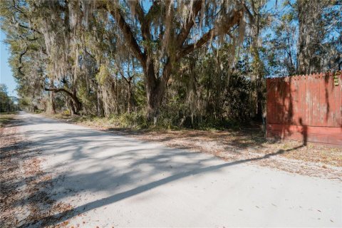 Land in Waldo, Florida № 2118242 - photo 22