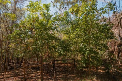 Land in Waldo, Florida № 2118242 - photo 28