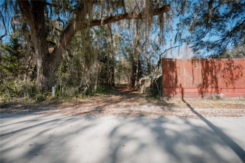 Land in Waldo, Florida № 2118242 - photo 20