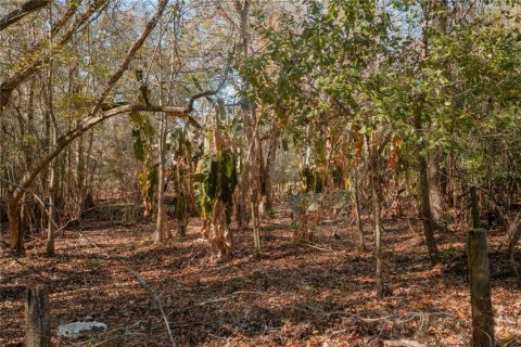 Land in Waldo, Florida № 2118242 - photo 23