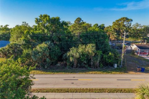 Land in Lehigh Acres, Florida № 2212441