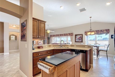 Villa ou maison à vendre à The Villages, Floride: 3 chambres, 210.52 m2 № 1563563 - photo 19