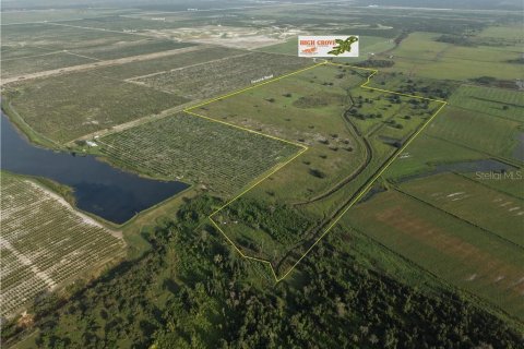 Terrain à Venus, Floride № 2375870