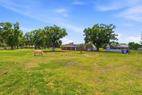 House in Plant City, Florida 3 bedrooms, 176.98 sq.m. № 2119265 - photo 9