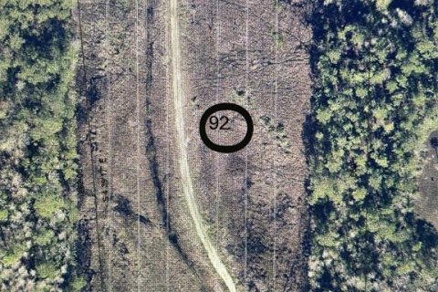 Terreno en alquiler en Geneva, Florida № 853106 - foto 1