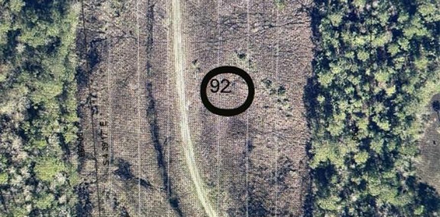 Земельный участок в Женева, Флорида № 853106