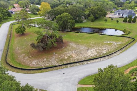 Terreno en venta en Tarpon Springs, Florida № 2166795 - foto 10