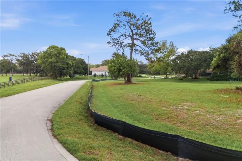 Terreno en venta en Tarpon Springs, Florida № 2166795 - foto 9
