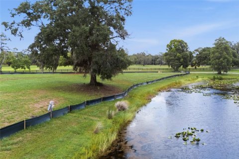 Terreno en venta en Tarpon Springs, Florida № 2166795 - foto 6
