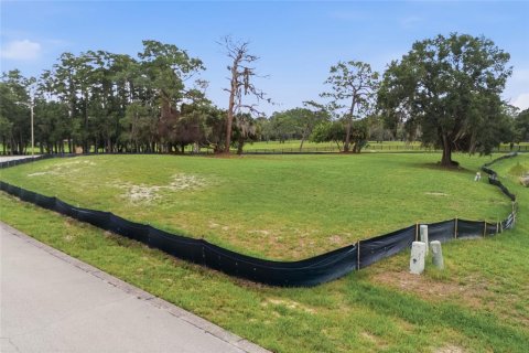 Terreno en venta en Tarpon Springs, Florida № 2166795 - foto 5