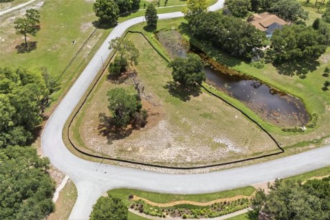Terreno en venta en Tarpon Springs, Florida № 2166795 - foto 26