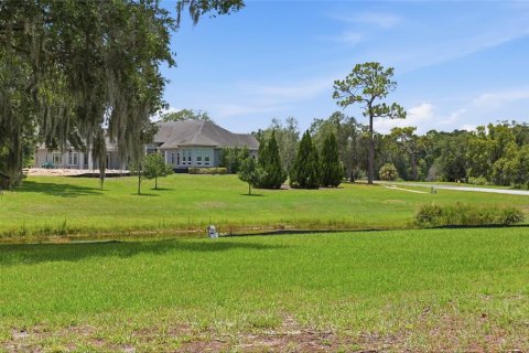 Terreno en venta en Tarpon Springs, Florida № 2166795 - foto 12