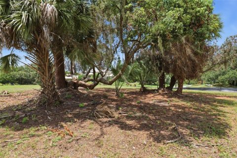 Terreno en venta en Tarpon Springs, Florida № 2166795 - foto 11