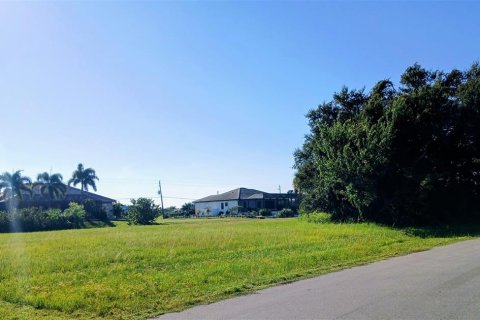 Land in Punta Gorda, Florida № 2391545