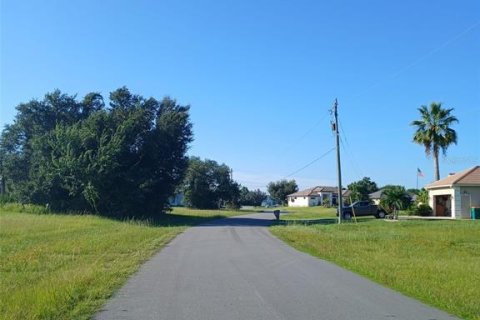 Land in Punta Gorda, Florida № 2391545 - photo 2