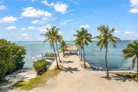 Hotel in Key Largo, Florida № 1705561 - photo 6