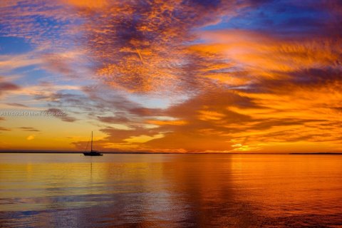 Hotel in Key Largo, Florida № 1705561 - photo 3