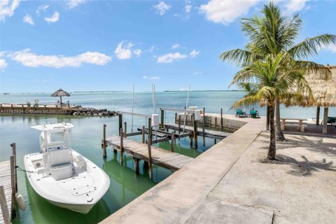 Hotel in Key Largo, Florida № 1705561 - photo 5