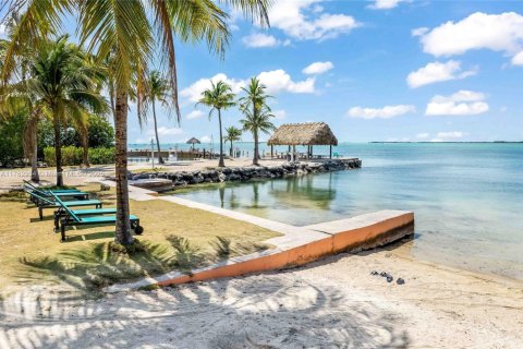 Hotel in Key Largo, Florida № 1705561 - photo 4
