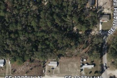 Land in Belleview, Florida № 2224222 - photo 3