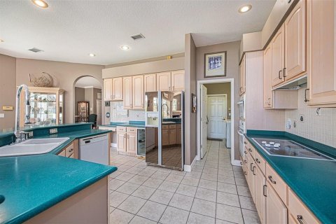 House in Fish Hawk, Florida 6 bedrooms, 481.33 sq.m. № 1767033 - photo 13