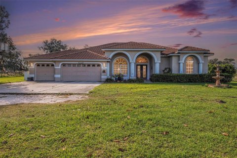 House in Fish Hawk, Florida 6 bedrooms, 481.33 sq.m. № 1767033 - photo 3
