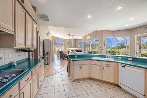 House in Fish Hawk, Florida 6 bedrooms, 481.33 sq.m. № 1767033 - photo 15