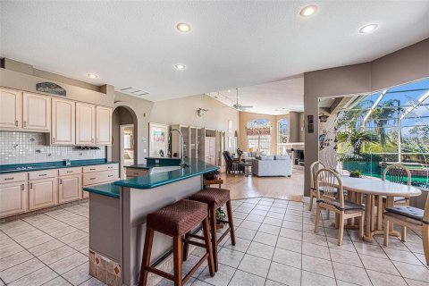 House in Fish Hawk, Florida 6 bedrooms, 481.33 sq.m. № 1767033 - photo 14