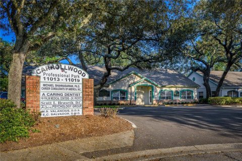 Immobilier commercial à Tampa, Floride 326.09 m2 № 2428706
