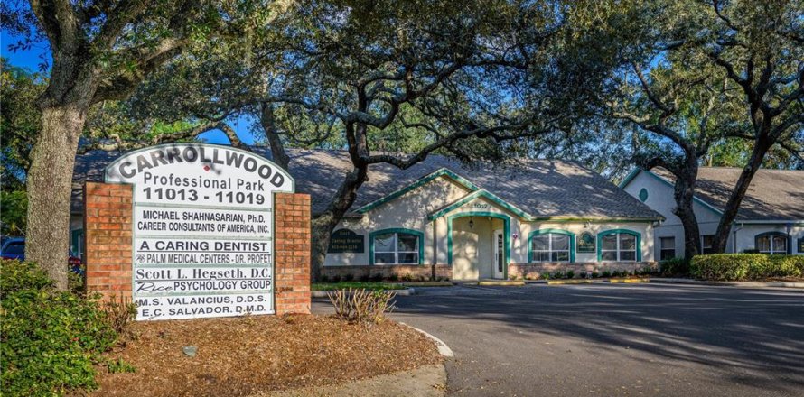 Immobilier commercial à Tampa, Floride 326.09 m2 № 2428706