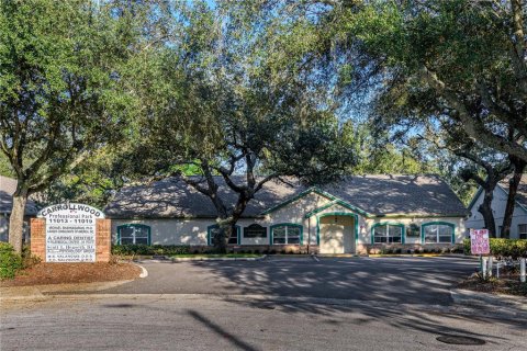 Immobilier commercial à louer à Tampa, Floride: 326.09 m2 № 2428706 - photo 2