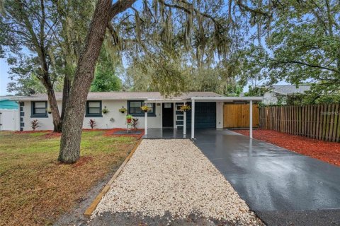House in Riverview, Florida 4 bedrooms, 141.3 sq.m. № 2207650