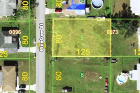 Land in Port Charlotte, Florida № 2161808 - photo 12