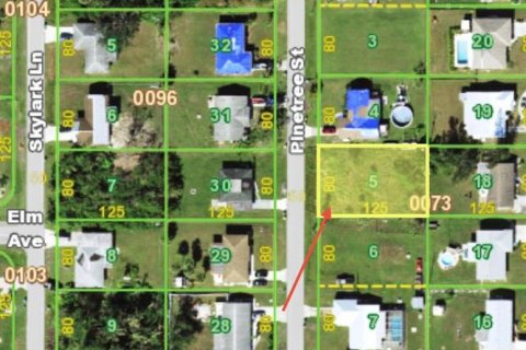 Land in Port Charlotte, Florida № 2161808 - photo 13