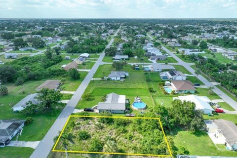 Land in Port Charlotte, Florida № 2161808 - photo 7