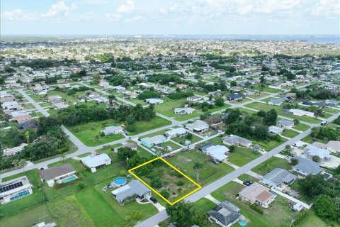 Land in Port Charlotte, Florida № 2161808 - photo 4