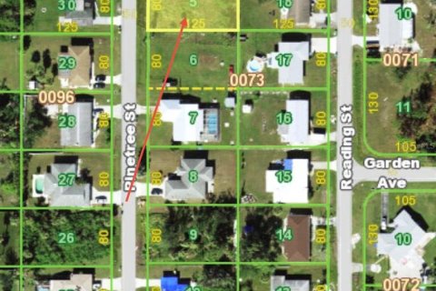 Land in Port Charlotte, Florida № 2161808 - photo 14